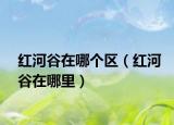 红河谷在哪个区（红河谷在哪里）
