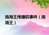 南海王伟撞机事件（南海王）