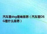 汽车里dsg是啥意思（汽车里DSG是什么意思）