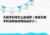 天翼手机号怎么查话费（电信天翼手机话费查询号码是多少）