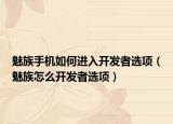 魅族手机如何进入开发者选项（魅族怎么开发者选项）