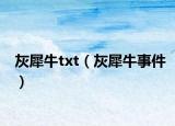 灰犀牛txt（灰犀牛事件）
