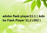 adobe flash player11.1（Adobe Flash Player 11.2 r202）