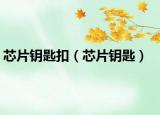 芯片钥匙扣（芯片钥匙）