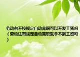 劳动者不按规定自动离职可以不发工资吗（劳动法有规定自动离职就拿不到工资吗）