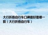 大行折叠自行车口碑最好是哪一款（大行折叠自行车）