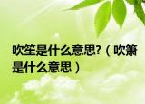 吹笙是什么意思?（吹箫是什么意思）