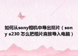 如何从sony相机中导出照片（sony a230 怎么把相片直接导入电脑）