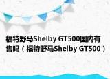 福特野马Shelby GT500国内有售吗（福特野马Shelby GT500）