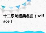 十二乐坊经典名曲（selface）