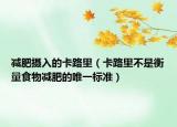 减肥摄入的卡路里（卡路里不是衡量食物减肥的唯一标准）