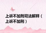 上诉不加刑司法解释（上诉不加刑）