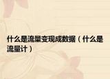 什么是流量变现成数据（什么是流量计）