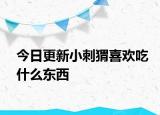 今日更新小刺猬喜欢吃什么东西