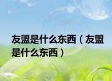 友盟是什么东西（友盟是什么东西）