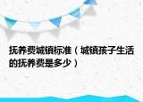 抚养费城镇标准（城镇孩子生活的抚养费是多少）