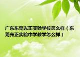 广东东莞光正实验学校怎么样（东莞光正实验中学教学怎么样）