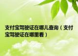 支付宝驾驶证在哪儿查询（支付宝驾驶证在哪里看）