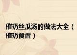 催奶丝瓜汤的做法大全（催奶食谱）