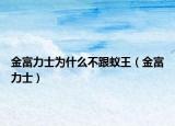 金富力士为什么不跟蚁王（金富力士）