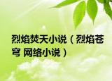 烈焰焚天小说（烈焰苍穹 网络小说）