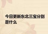 今日更新东北三宝分别是什么