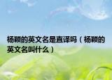 杨颖的英文名是直译吗（杨颖的英文名叫什么）
