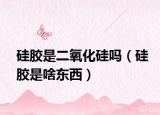 硅胶是二氧化硅吗（硅胶是啥东西）