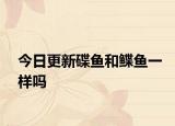 今日更新碟鱼和鲽鱼一样吗