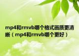 mp4和rmvb哪个格式画质更清晰（mp4和rmvb哪个更好）