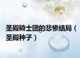圣殿骑士团的悲惨结局（圣殿种子）
