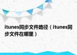 itunes同步文件路径（itunes同步文件在哪里）
