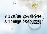 8 128和8 256哪个好（8 128和8 256的区别）