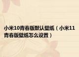 小米10青春版默认壁纸（小米11青春版壁纸怎么设置）