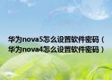 华为nova5怎么设置软件密码（华为nova4怎么设置软件密码）