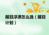 醒目浮漂怎么选（醒目计划）