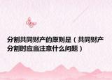 分割共同财产的原则是（共同财产分割时应当注意什么问题）