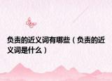 负责的近义词有哪些（负责的近义词是什么）