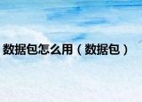 数据包怎么用（数据包）