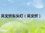 吴文忻车头灯（吴文忻）