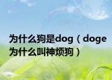 为什么狗是dog（doge为什么叫神烦狗）