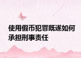 使用假币犯罪既遂如何承担刑事责任
