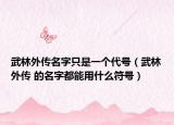 武林外传名字只是一个代号（武林外传 的名字都能用什么符号）