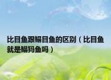 比目鱼跟鳎目鱼的区别（比目鱼就是鳎犸鱼吗）