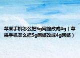 苹果手机怎么把5g网络改成4g（苹果手机怎么把5g网络改成4g网络）