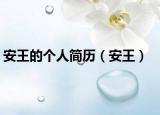 安王的个人简历（安王）
