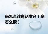 亳怎么读白话发音（亳怎么读）