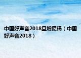 中国好声音2018旦增尼玛（中国好声音2018）