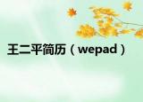 王二平简历（wepad）