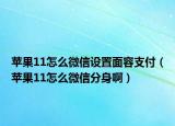 苹果11怎么微信设置面容支付（苹果11怎么微信分身啊）
